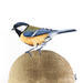 Peinture GOLD AND SUN 145 par Milie Lairie | Tableau Réalisme Animaux Huile Feuille d'or