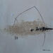 Painting Abstract beige A201 by Wilms Hilde | Painting Abstract Cardboard Acrylic Sand