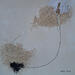 Painting Abstract beige A202 by Wilms Hilde | Painting Abstract Cardboard Acrylic Gold leaf