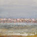 Painting Flamands roses by Rocco Sophie | Painting Raw art Acrylic Gluing Sand