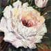 Painting Pink rose 2 by Chico Souza | Painting Figurative Landscapes Oil