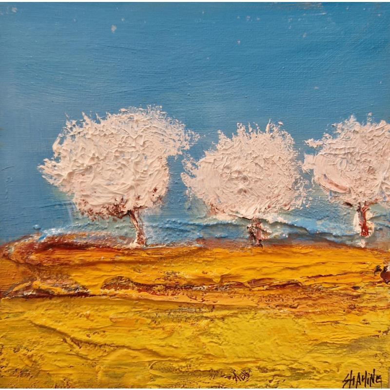 Pintura Champ jaune  por Shahine | Pintura Figurativo Aceite