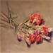Peinture Œillet 3 par Morales Géraldine | Tableau Figuratif Natures mortes Huile Acrylique